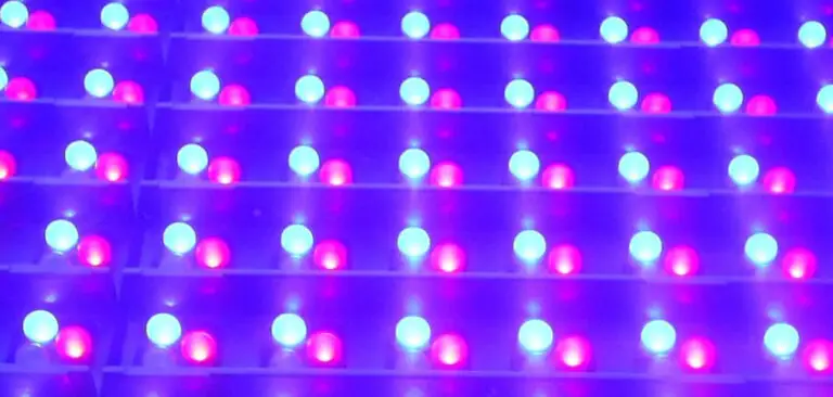 how-to-fix-led-lights-that-are-two-different-colors-in-6-steps