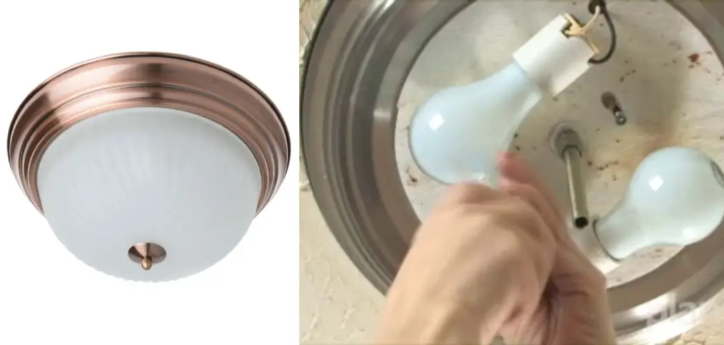 How to Change Light Bulb in Nipple Light 6 Simple Steps