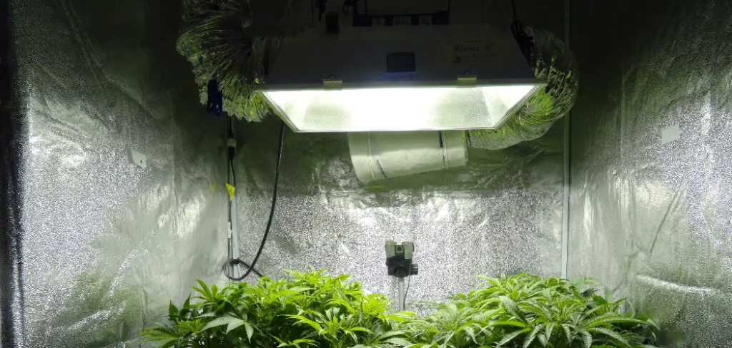 How to Hang Light in Grow Tent