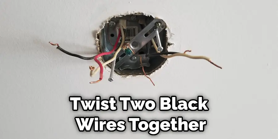 Twist Two Black Wires Together