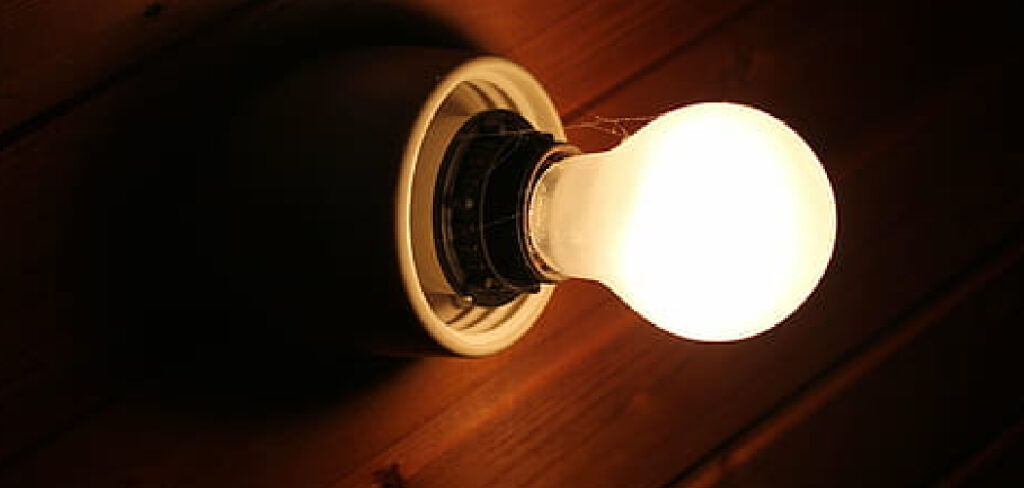 Can I Use a Regular Bulb for A Basking Light