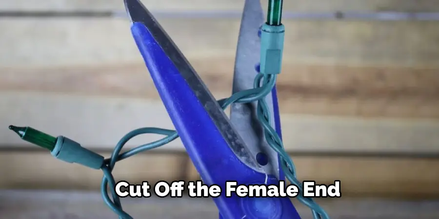 Cut Off the Female End