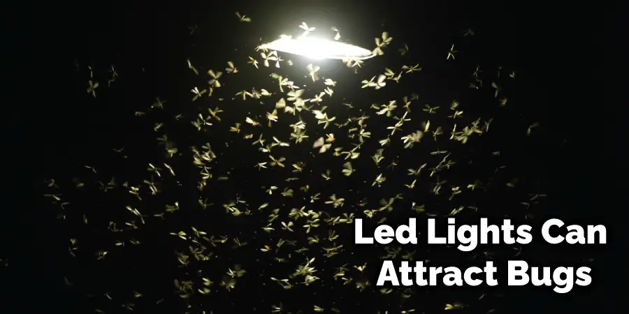 Led Lights Can Attract Bugs