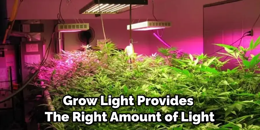 Grow Light Provides  The Right Amount of Light