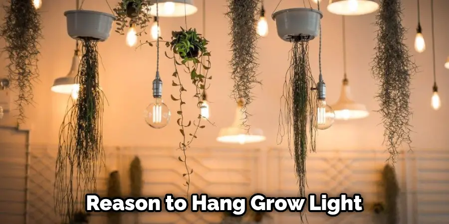 Reason to Hang Grow Light