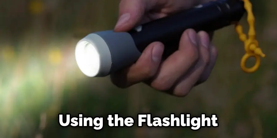 Using the Flashlight