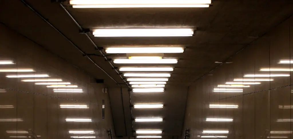 How to Dispose Fluorescent Light