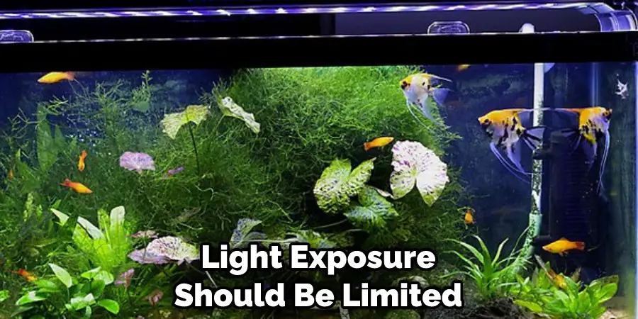 Light Exposure Should Be Limited