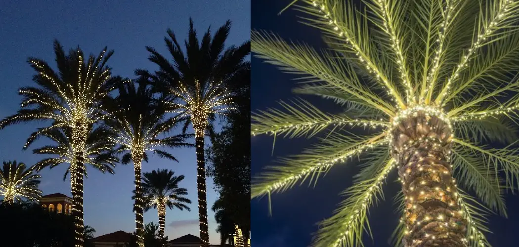 How to Light a Palm Tree