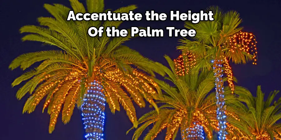 Accentuate the Height  Of the Palm Tree