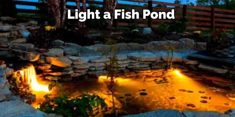 Light a Fish Pond