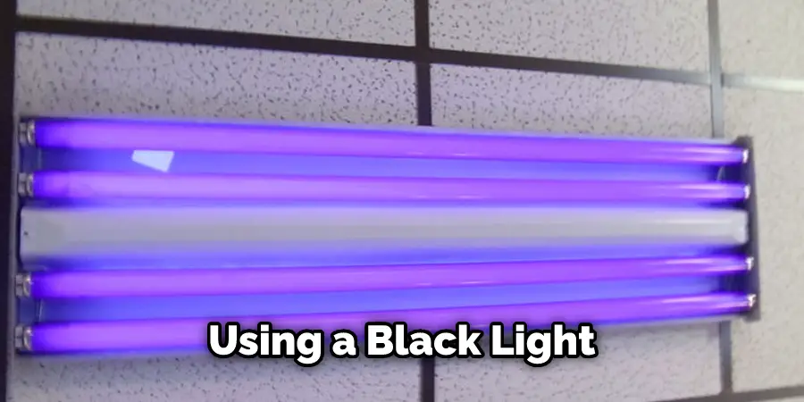 Using a Black Light 