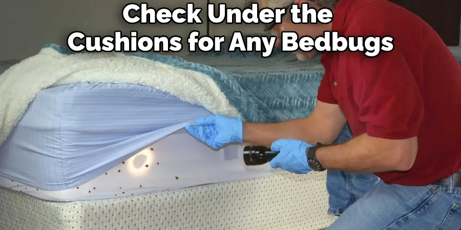 Check Under the Cushions for Any Bedbugs