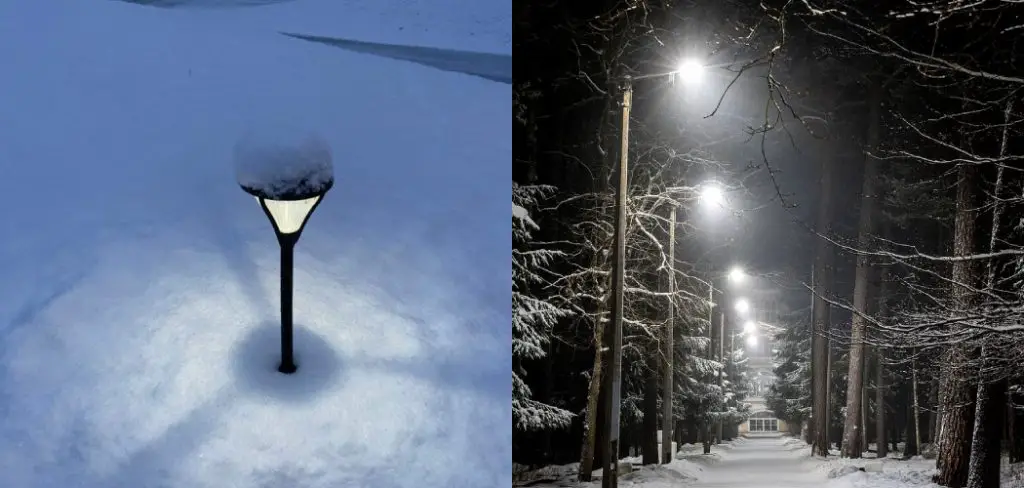 How to Store Outdoor Solar Lights for The Winter