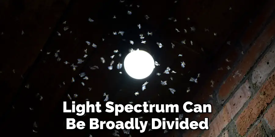 Light Spectrum Can Be Broadly Divided