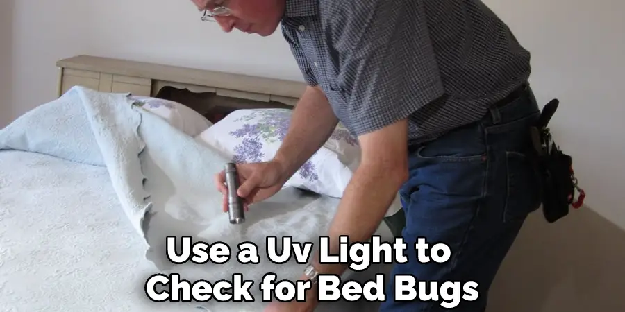 Use a Uv Light to Check for Bed Bugs