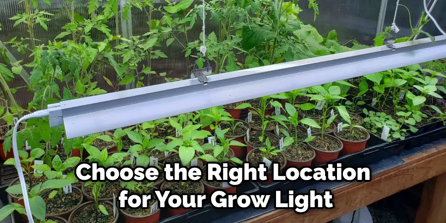 Choose the Right Location for Your Grow Light