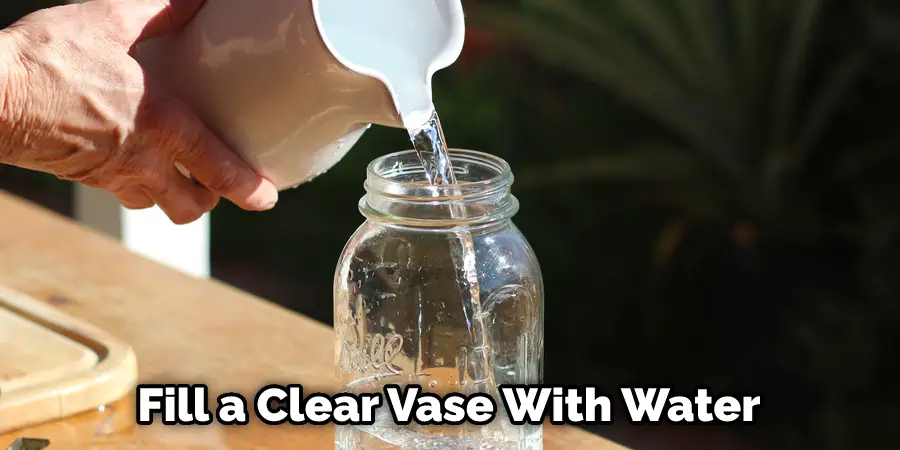 Fill a Clear Vase With Water