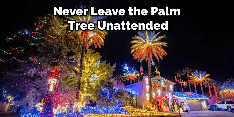 Never Leave the Palm Tree Unattended