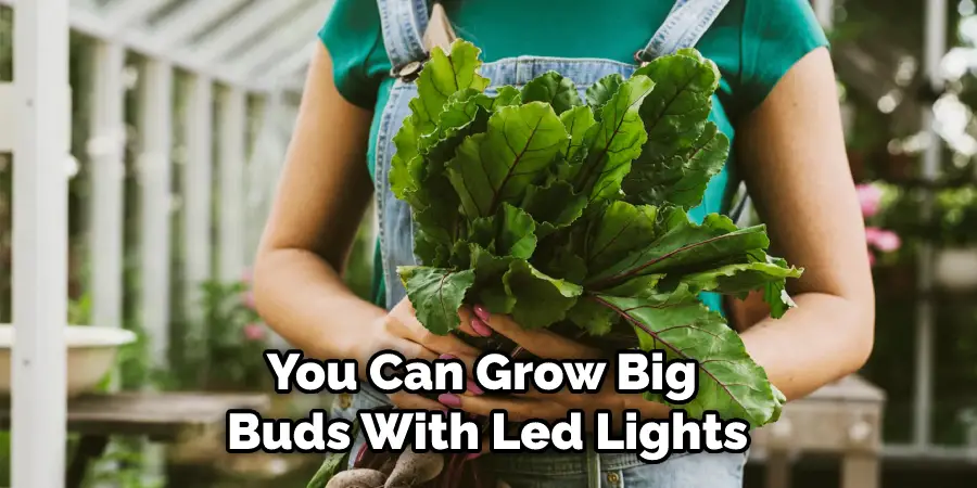 You Can Grow Big Buds With Led Lights