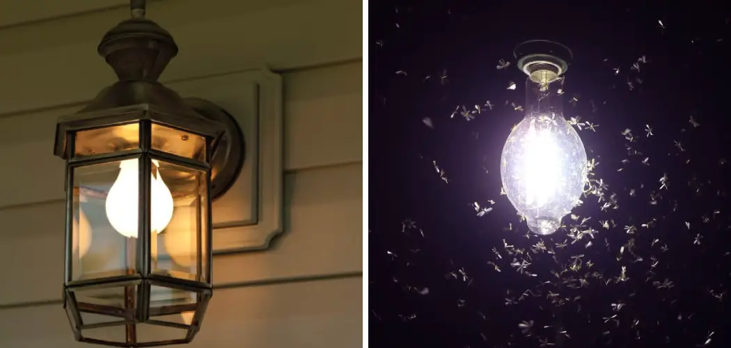 How to Keep Moths Away from Porch Light