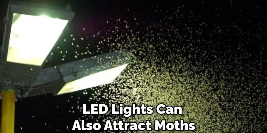 LED Lights Can Also Attract Moths