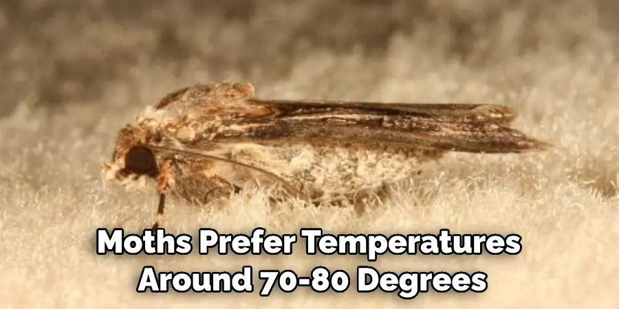 Moths Prefer Temperatures Around 70-80 Degrees