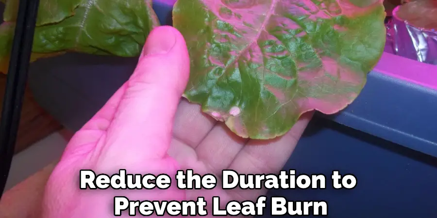 Reduce the Duration to Prevent Leaf Burn
