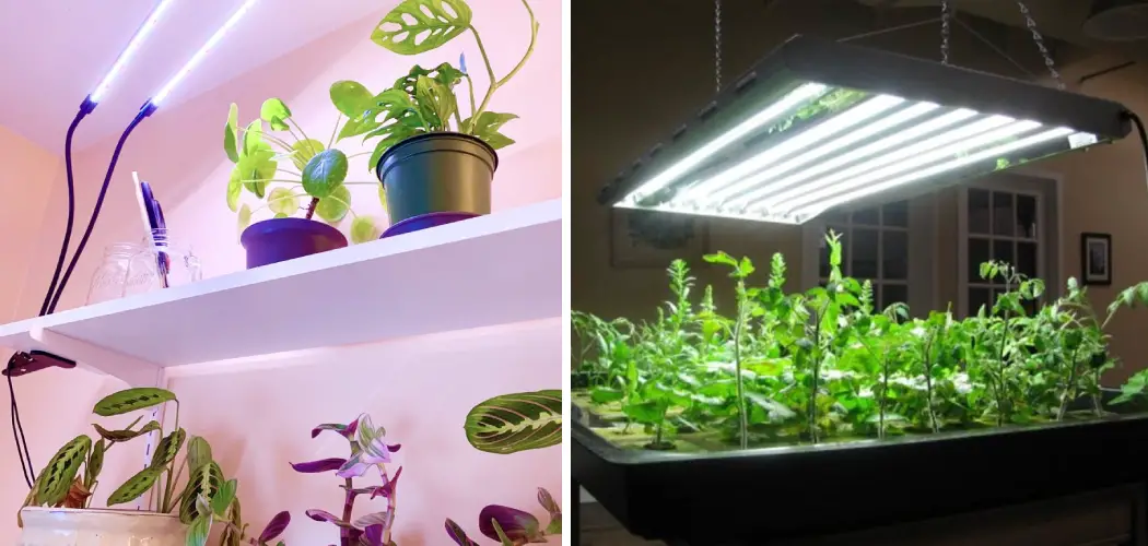 How to Suspend Grow Lights