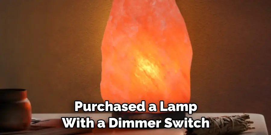 Purchased a Lamp With a Dimmer Switch