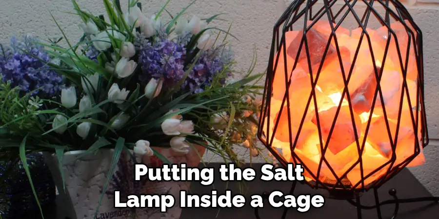 Putting the Salt Lamp Inside a Cage