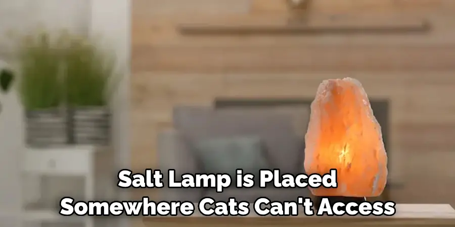 Salt Lamp is Placed Somewhere Cats Can't Access