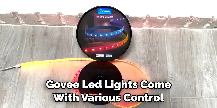 Govee Led Lights Come With Various Control